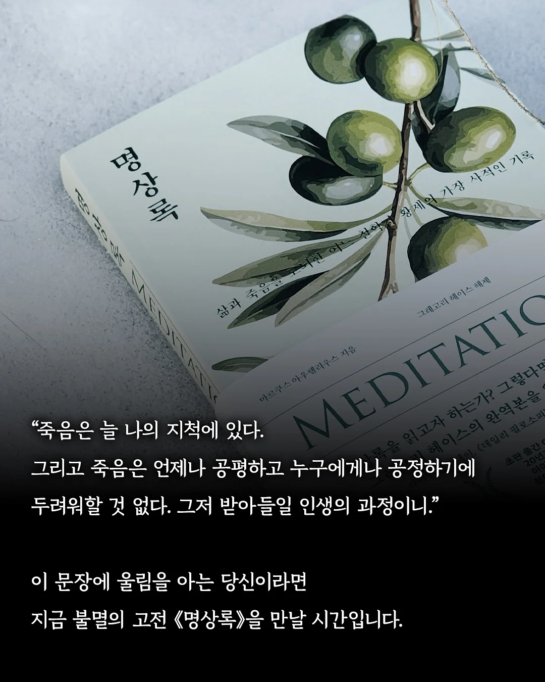 오뉴데이 썸머 아이템 9