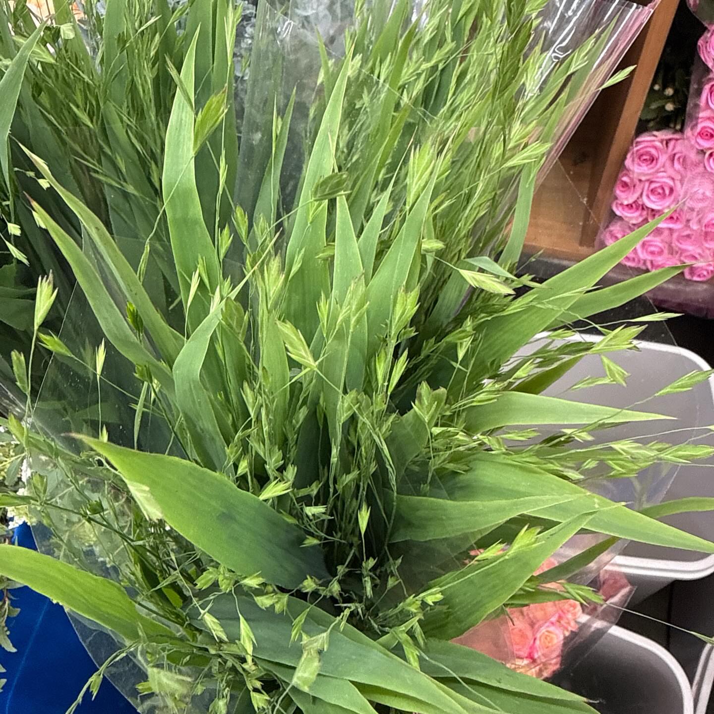백일떡케이크 3
