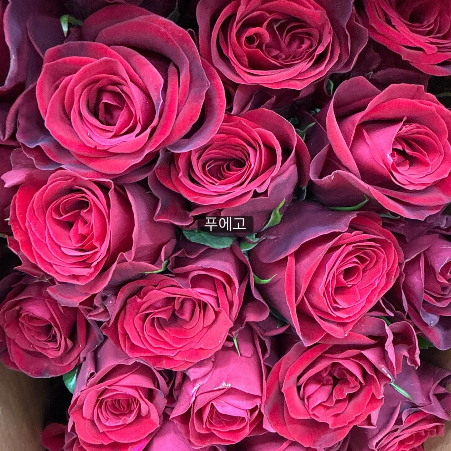 아추추 수퍼쿨 냉감베딩 1