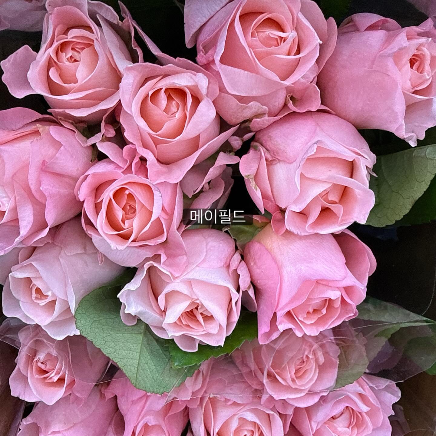 아추추 수퍼쿨 냉감베딩 2