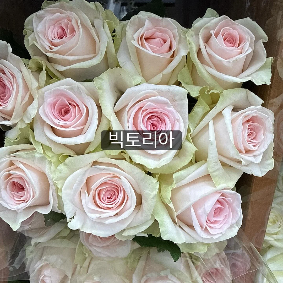 아추추 수퍼쿨 냉감베딩 6