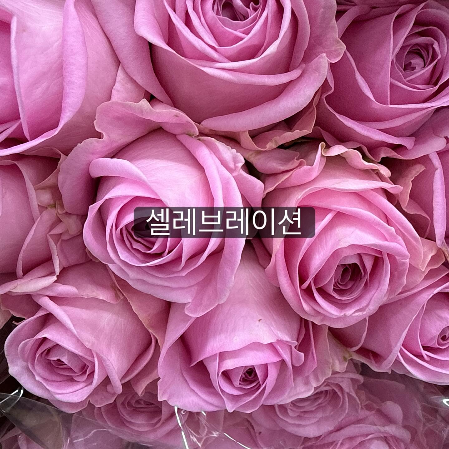 아추추 수퍼쿨 냉감베딩 8