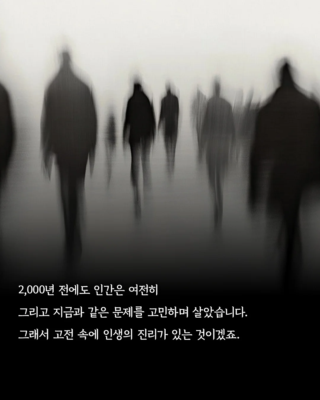 몰바니 밀크 클렌져 8