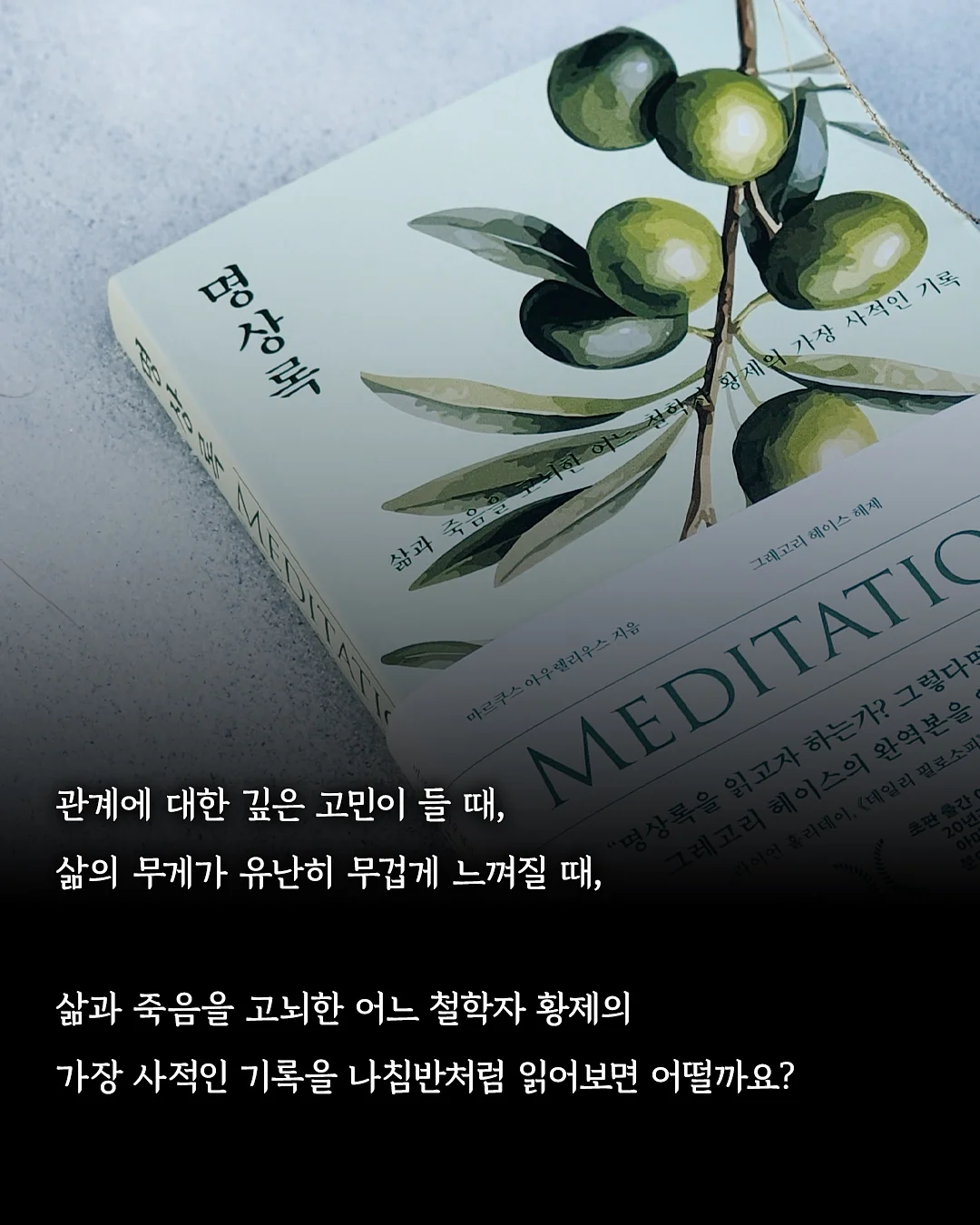 몰바니 밀크 클렌져 9