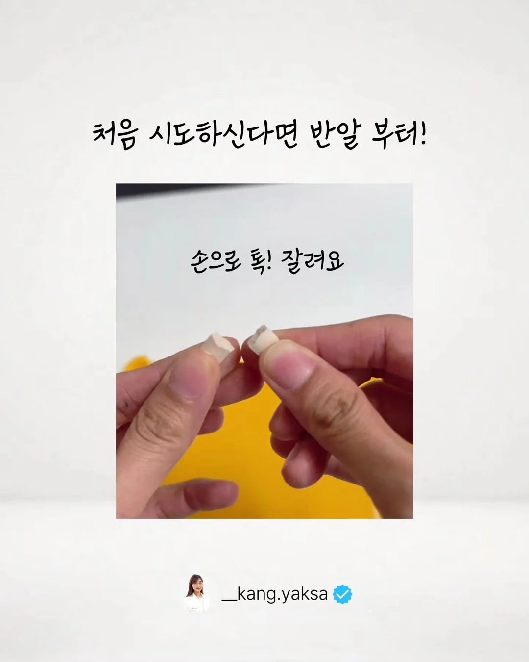 머물 미니 꽃바구니 4