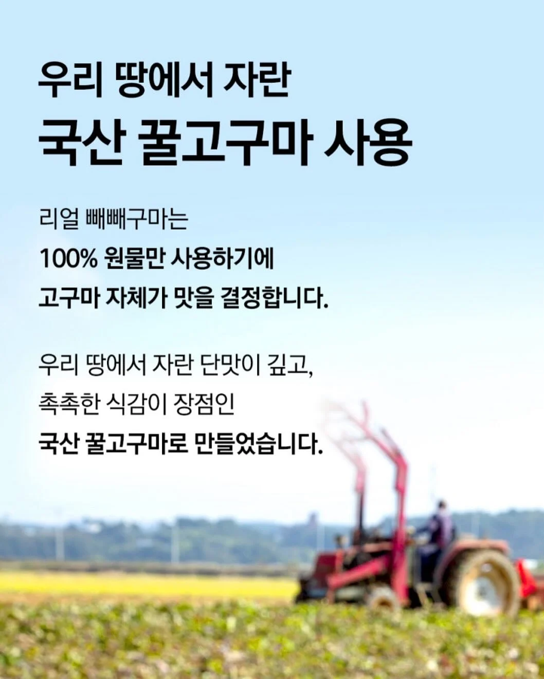 씨솔트 말차 아몬드 카라멜 토피스 10