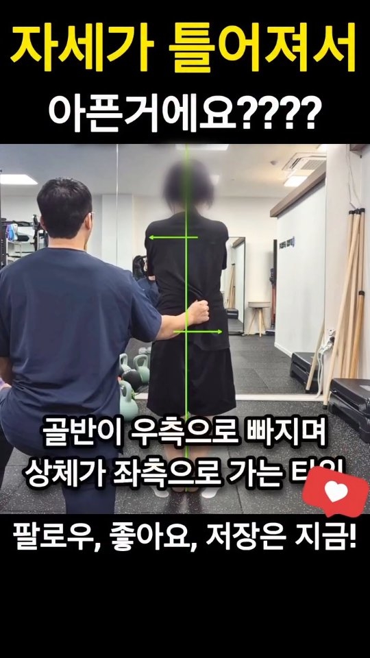 다이어트 쉐이크