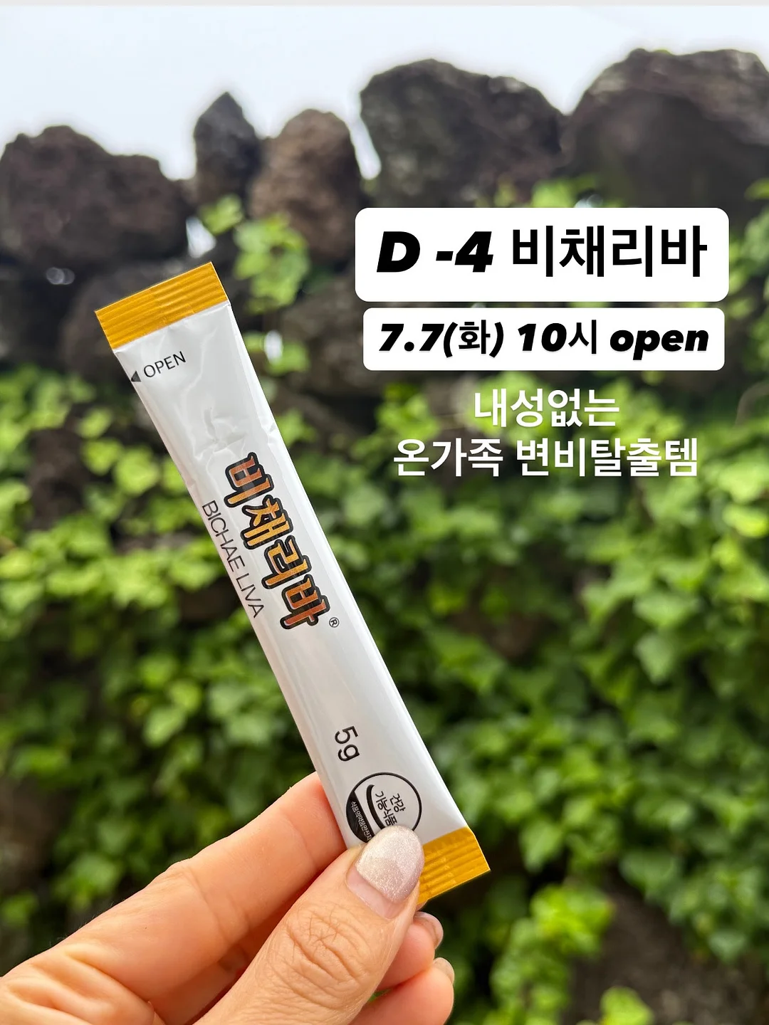 위시드 원데이 투명렌즈 1