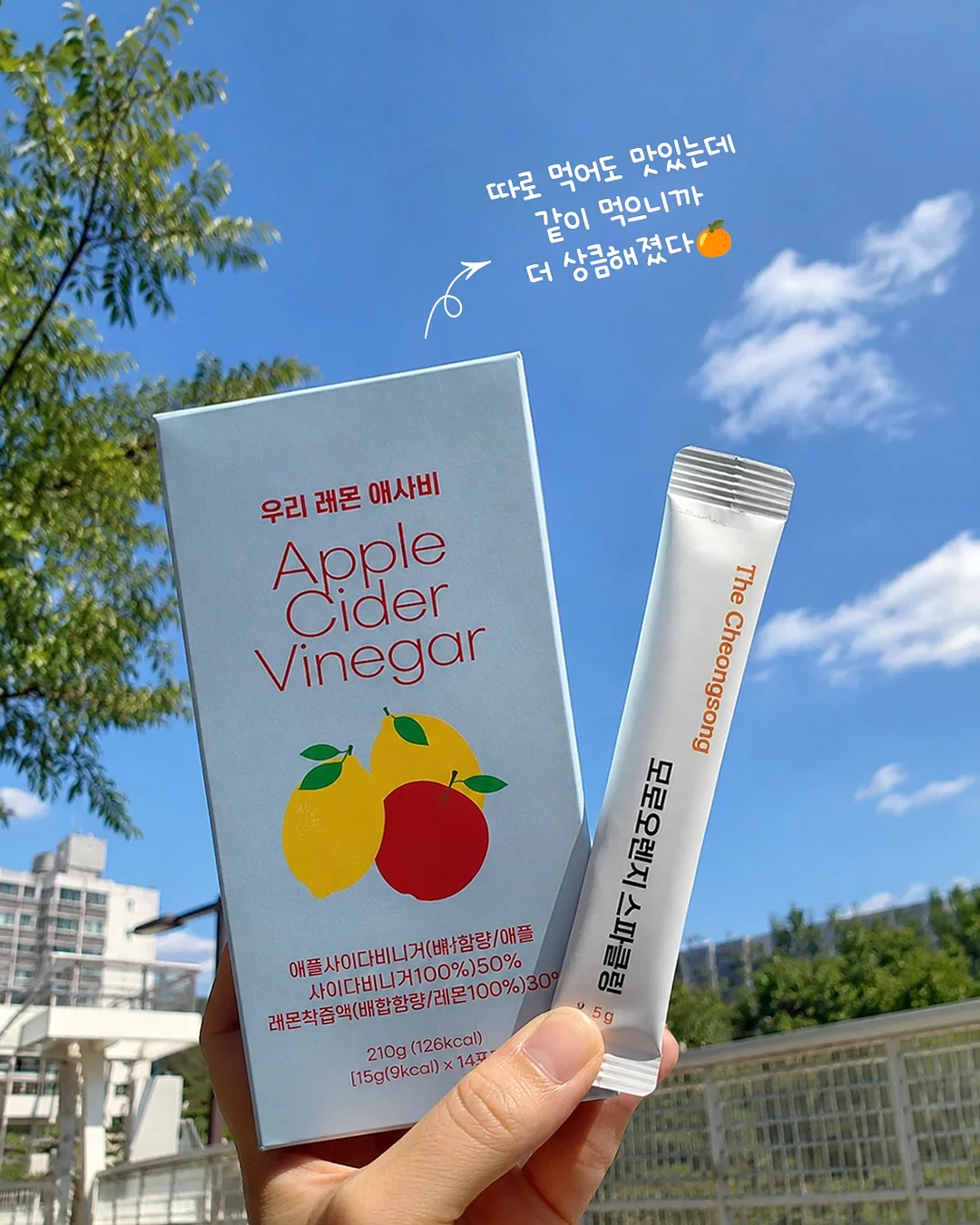 강진 앞바다 자연산 모둠회