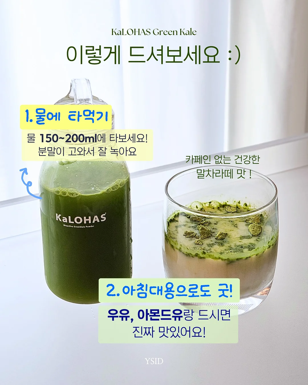 대학교 회의도시락 3