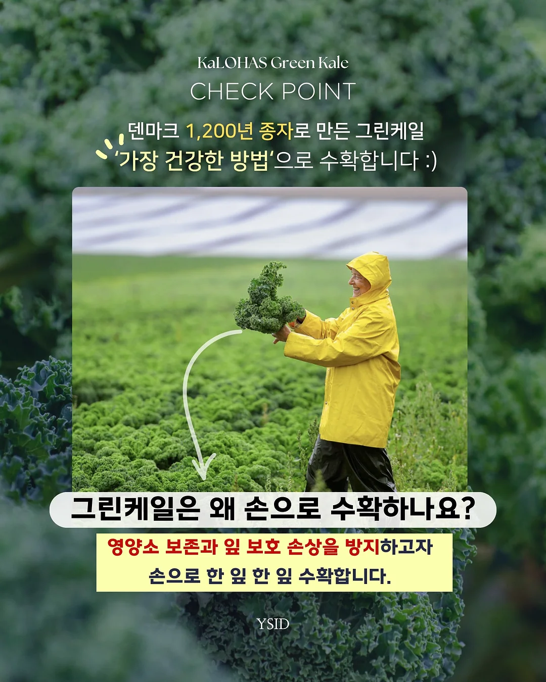 대학교 회의도시락 5