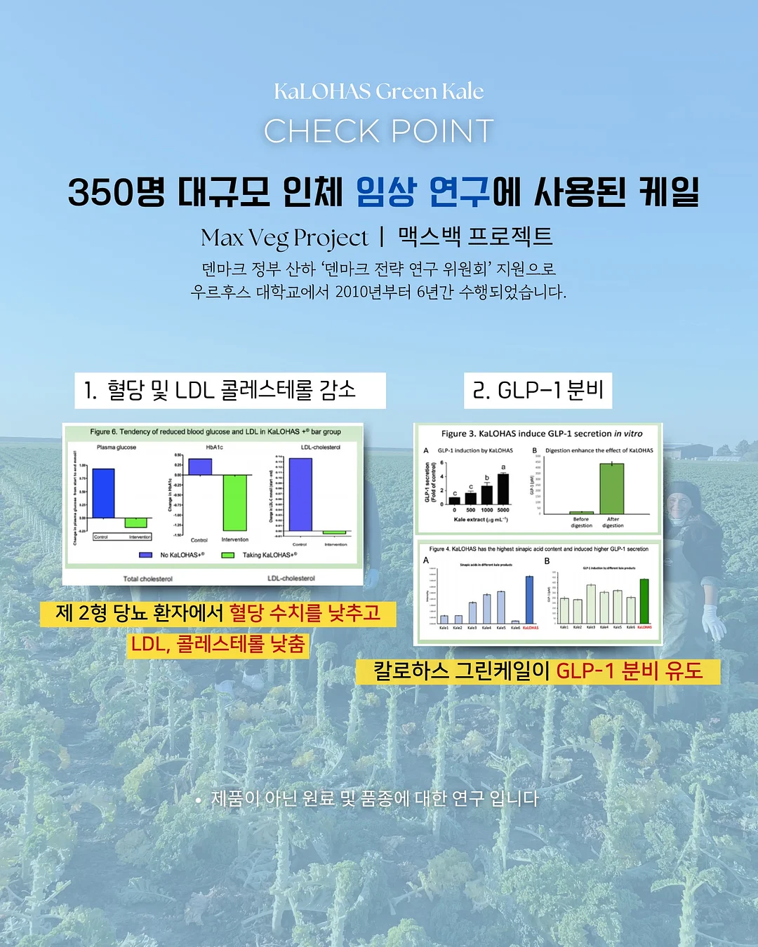 대학교 회의도시락 9