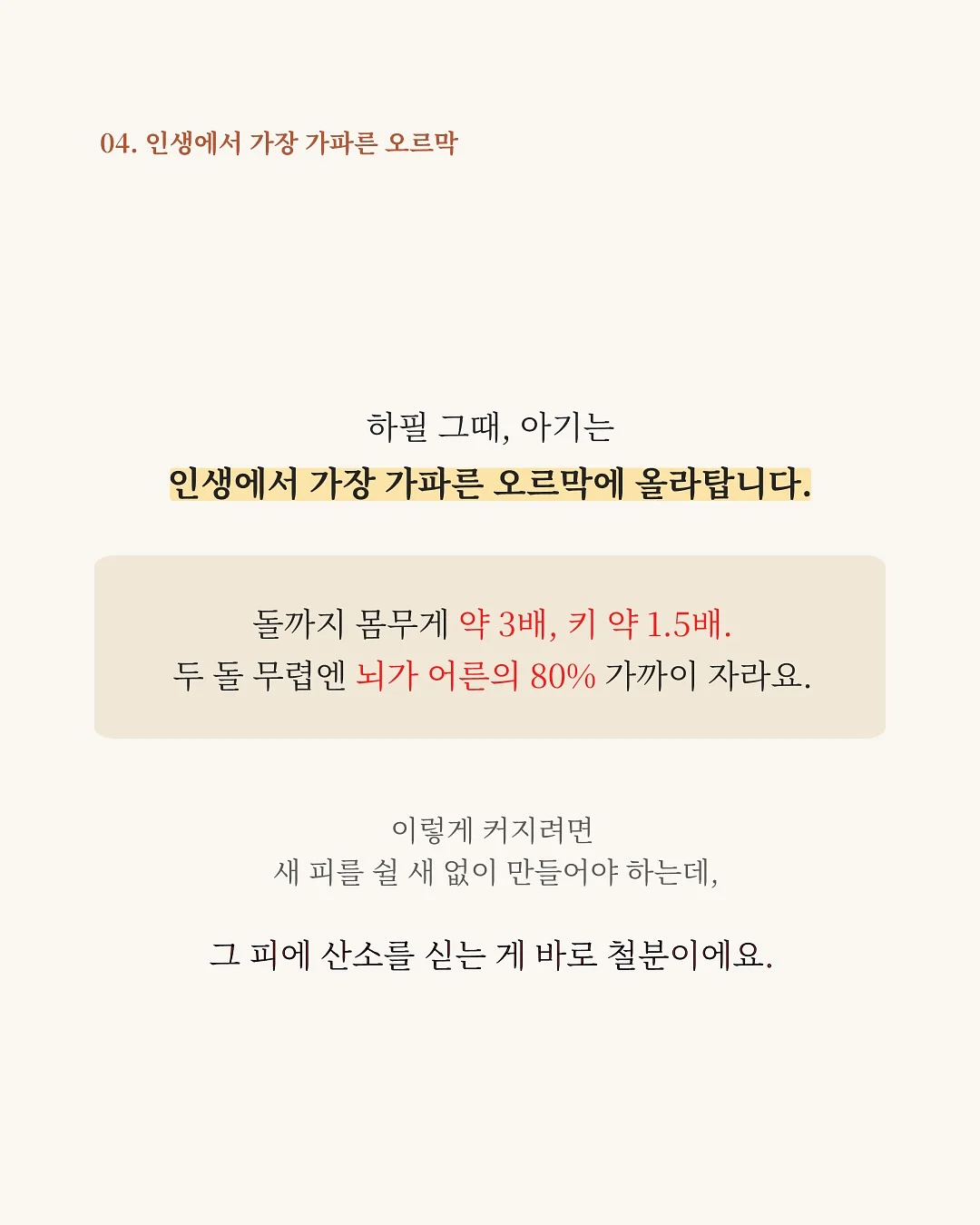 몬치치 옷 5