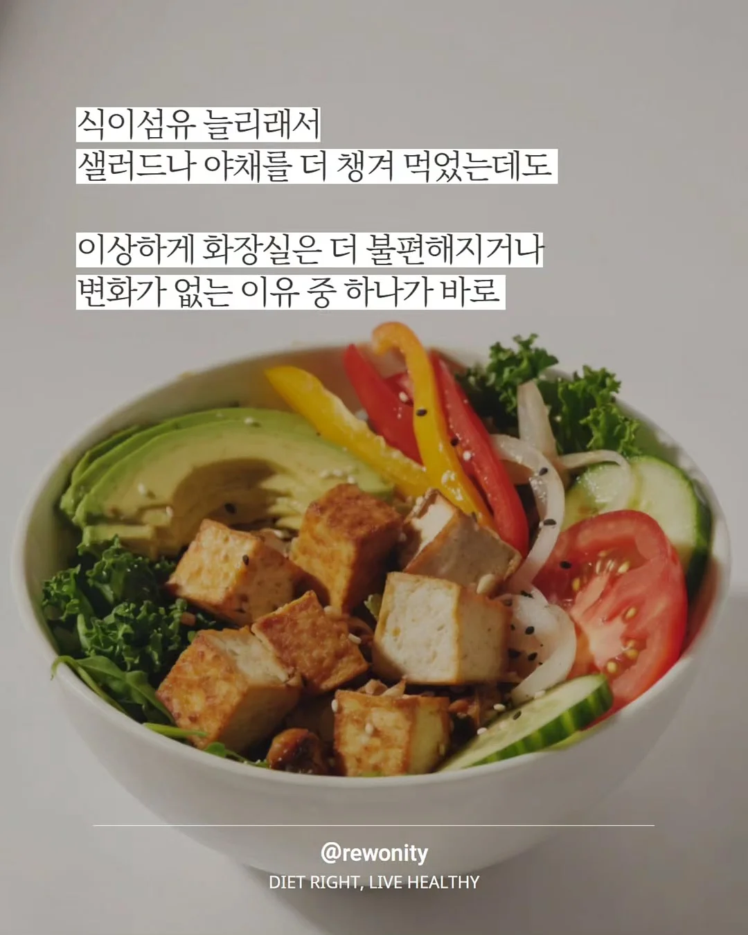 카쿄인 레로레로 부채 2