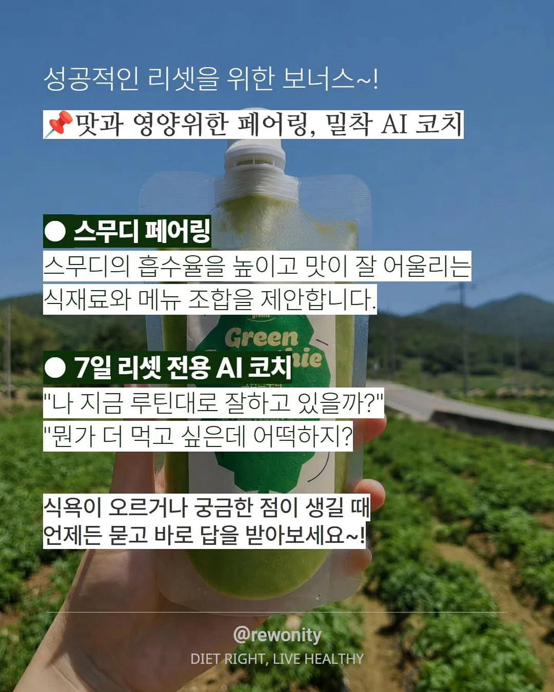 카쿄인 레로레로 부채 10