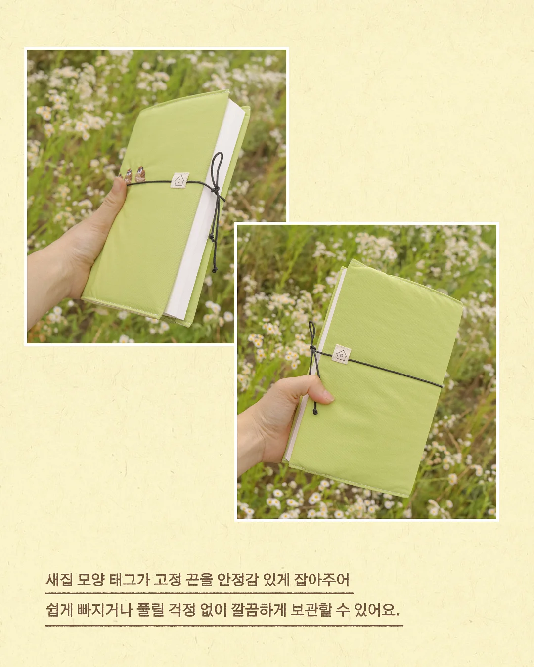 레몬 3