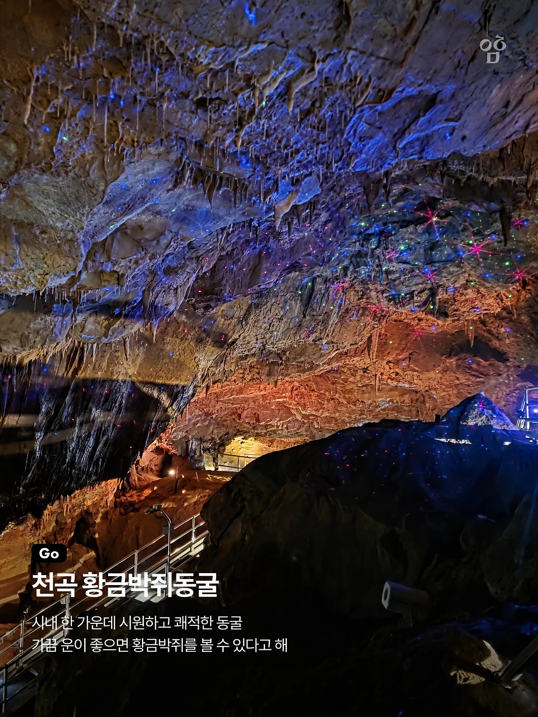 4세야 놀자 세미나 8