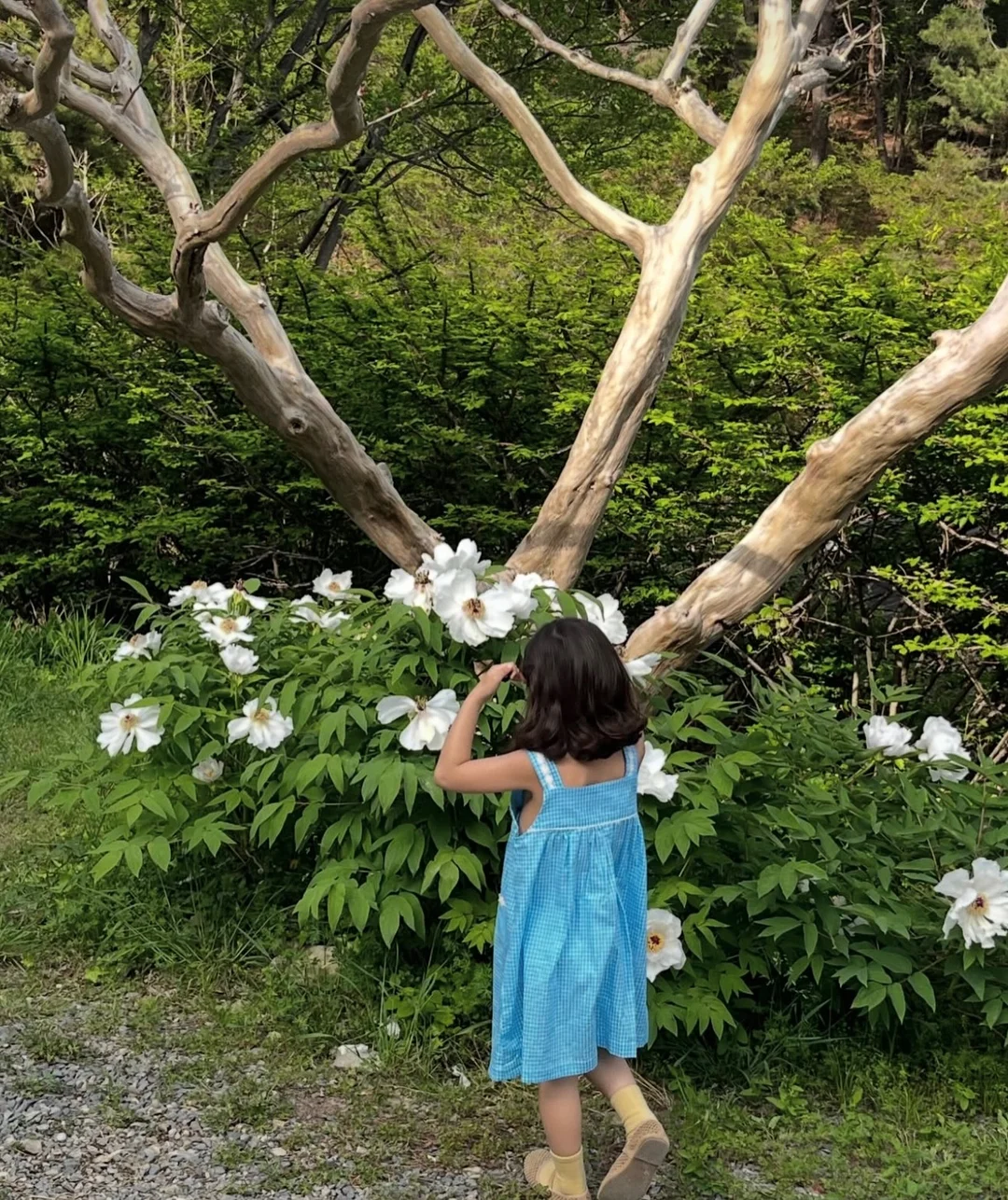 풀헤븐 단체 이용권 3
