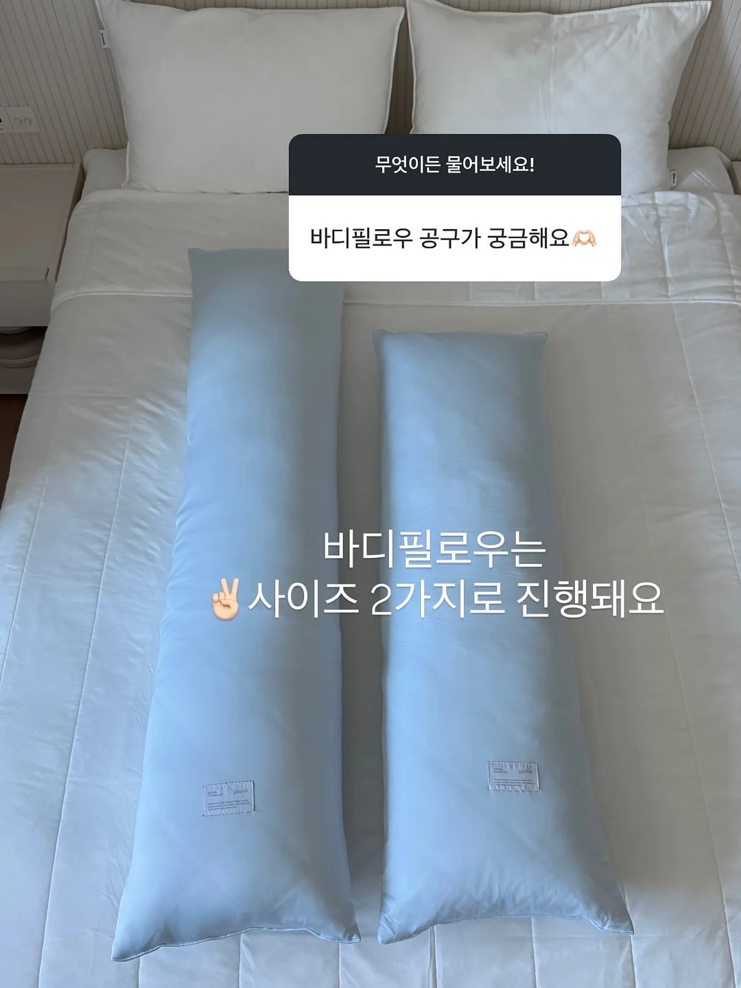 이치비야 동결과일 11