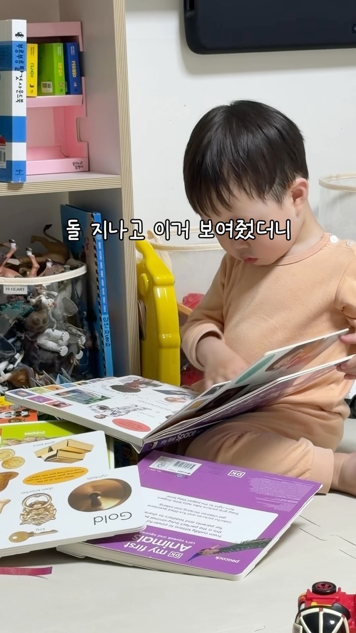 일광전구 조명
