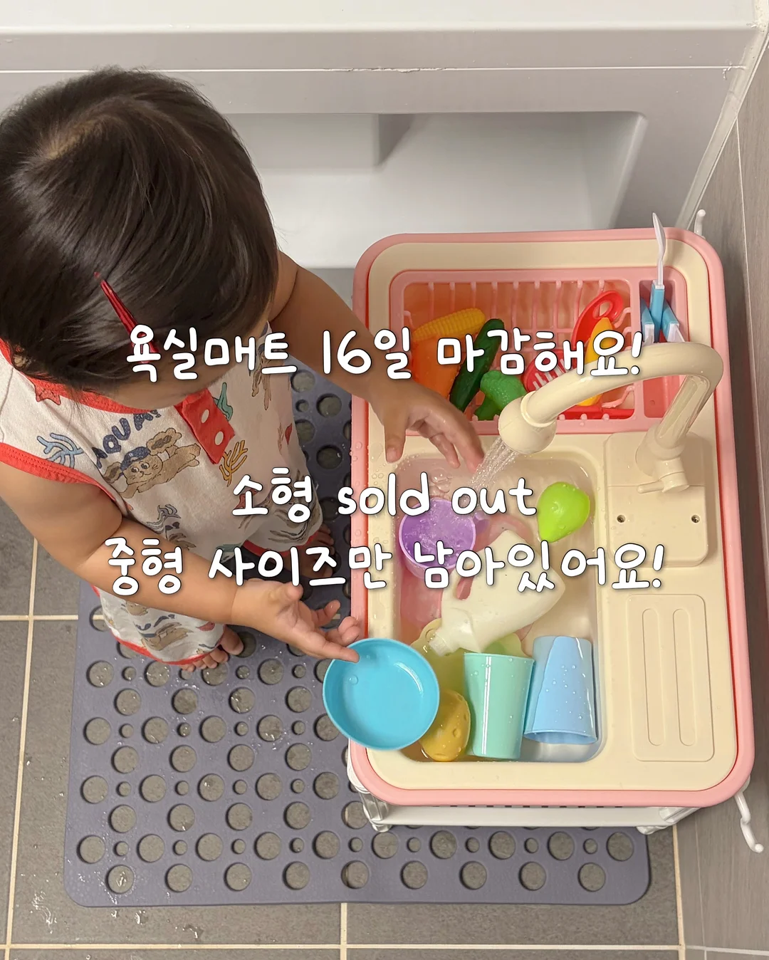 나비 봄 신상 1