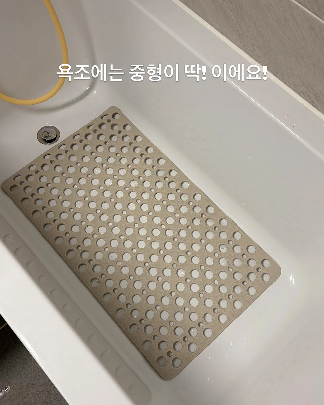 나비 봄 신상 4