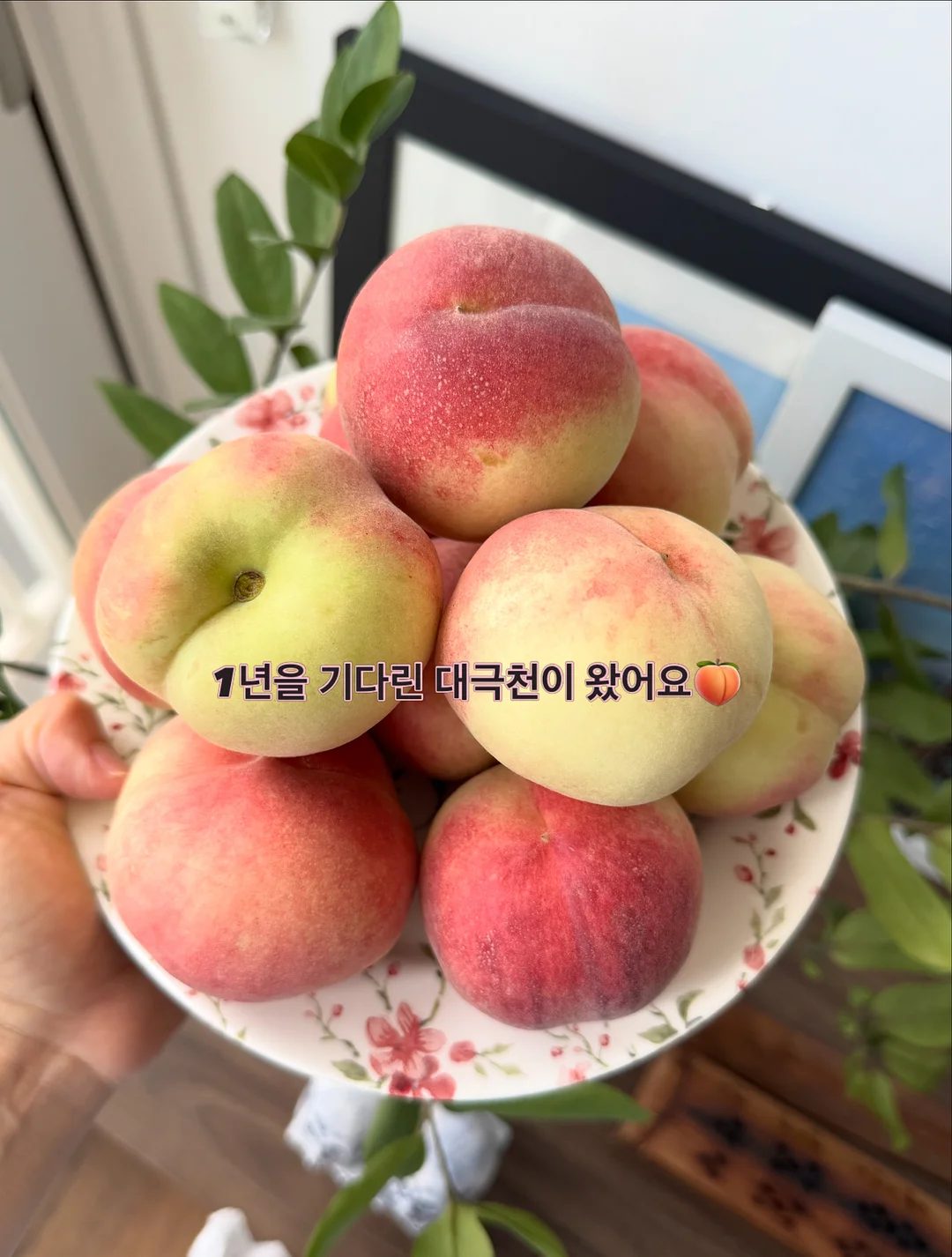 네트백 숄더백 3