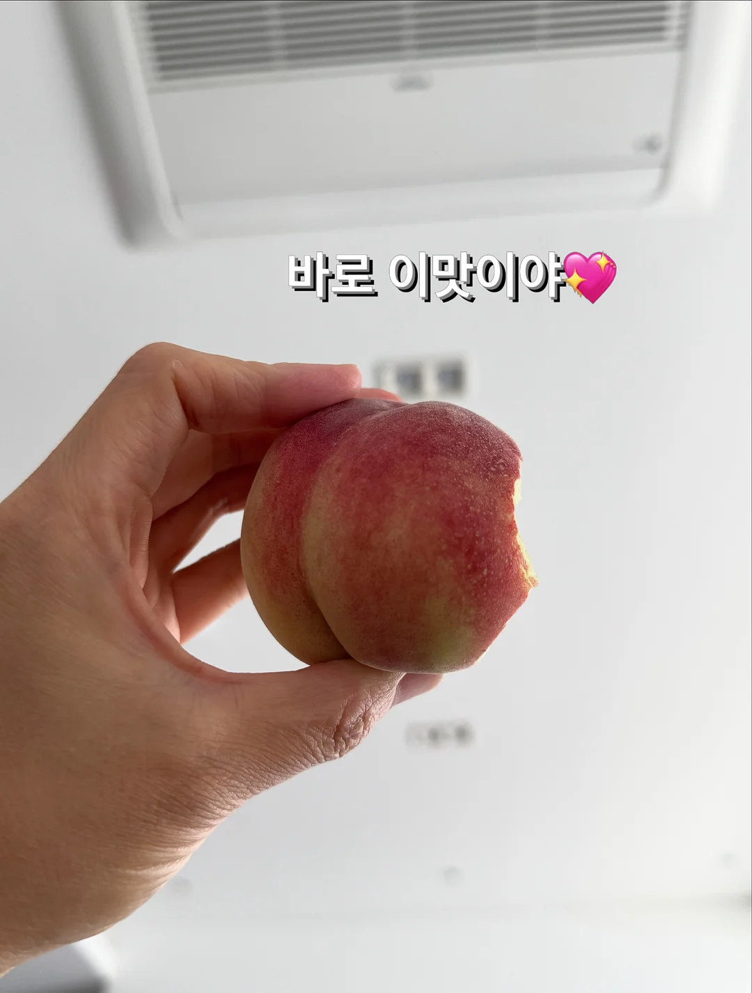 네트백 숄더백 5