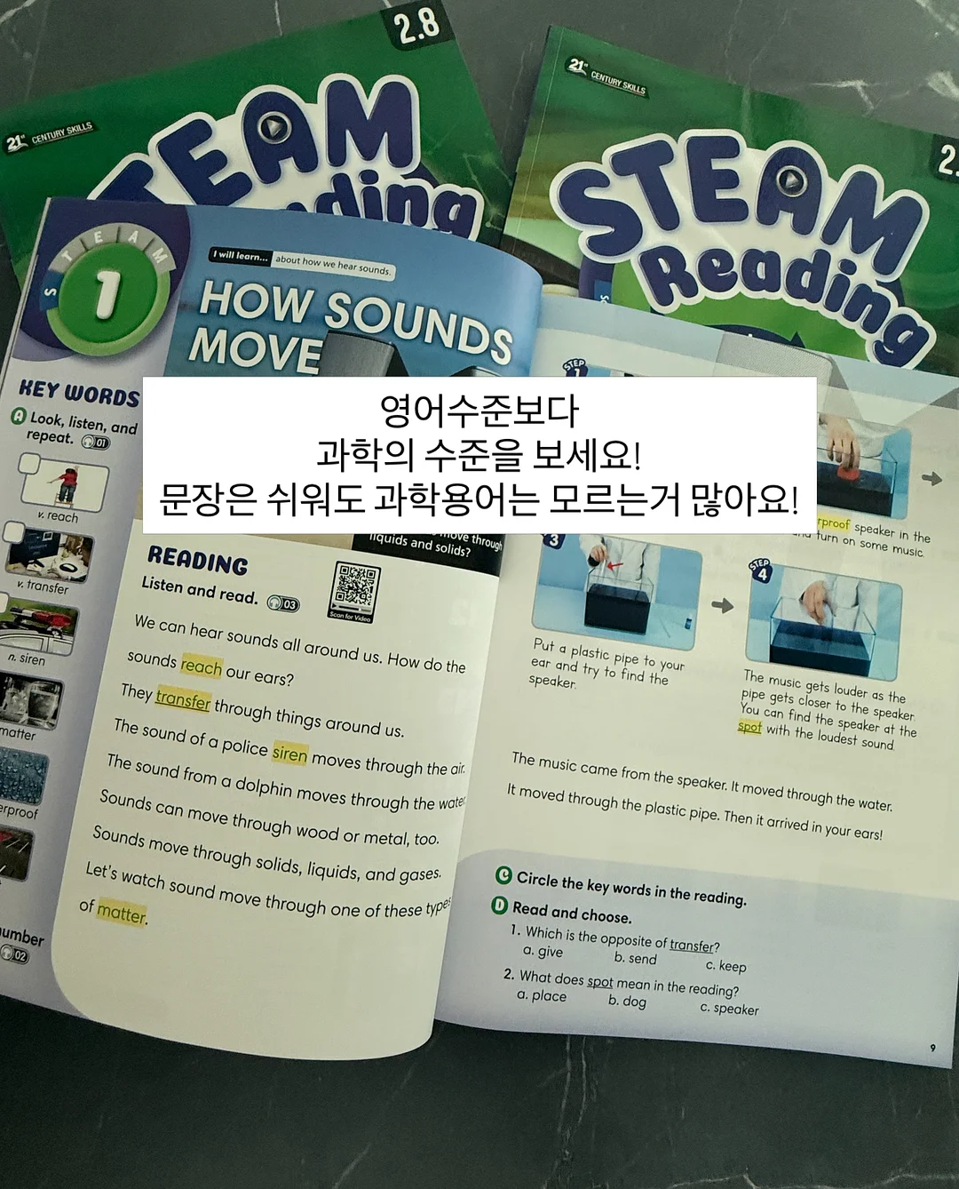 팜므세트 4