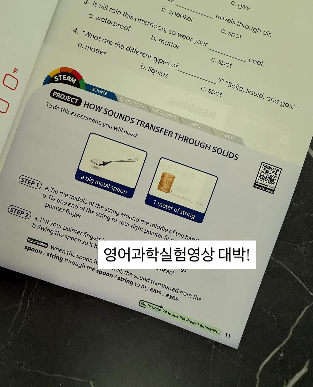 팜므세트 6