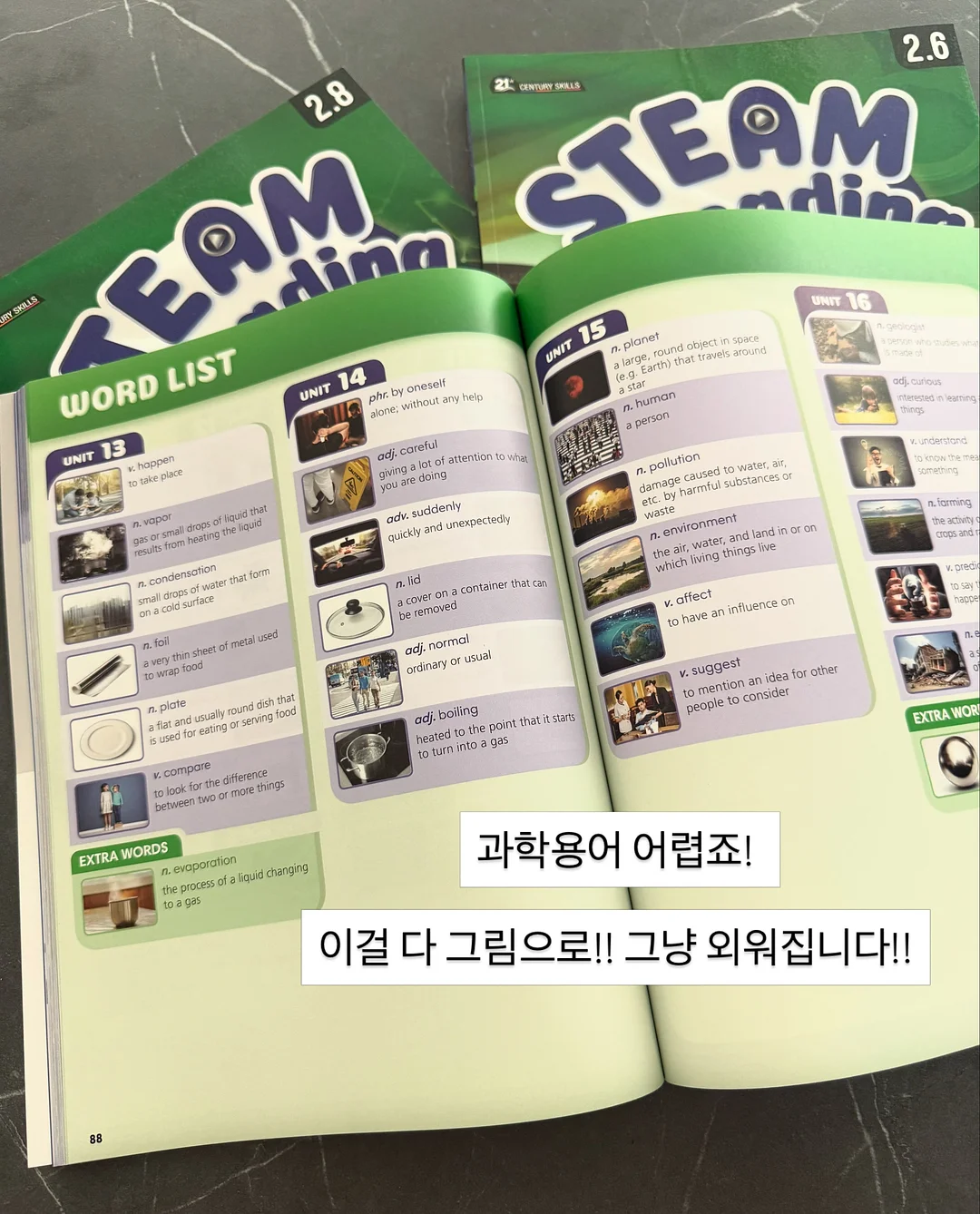 팜므세트 8