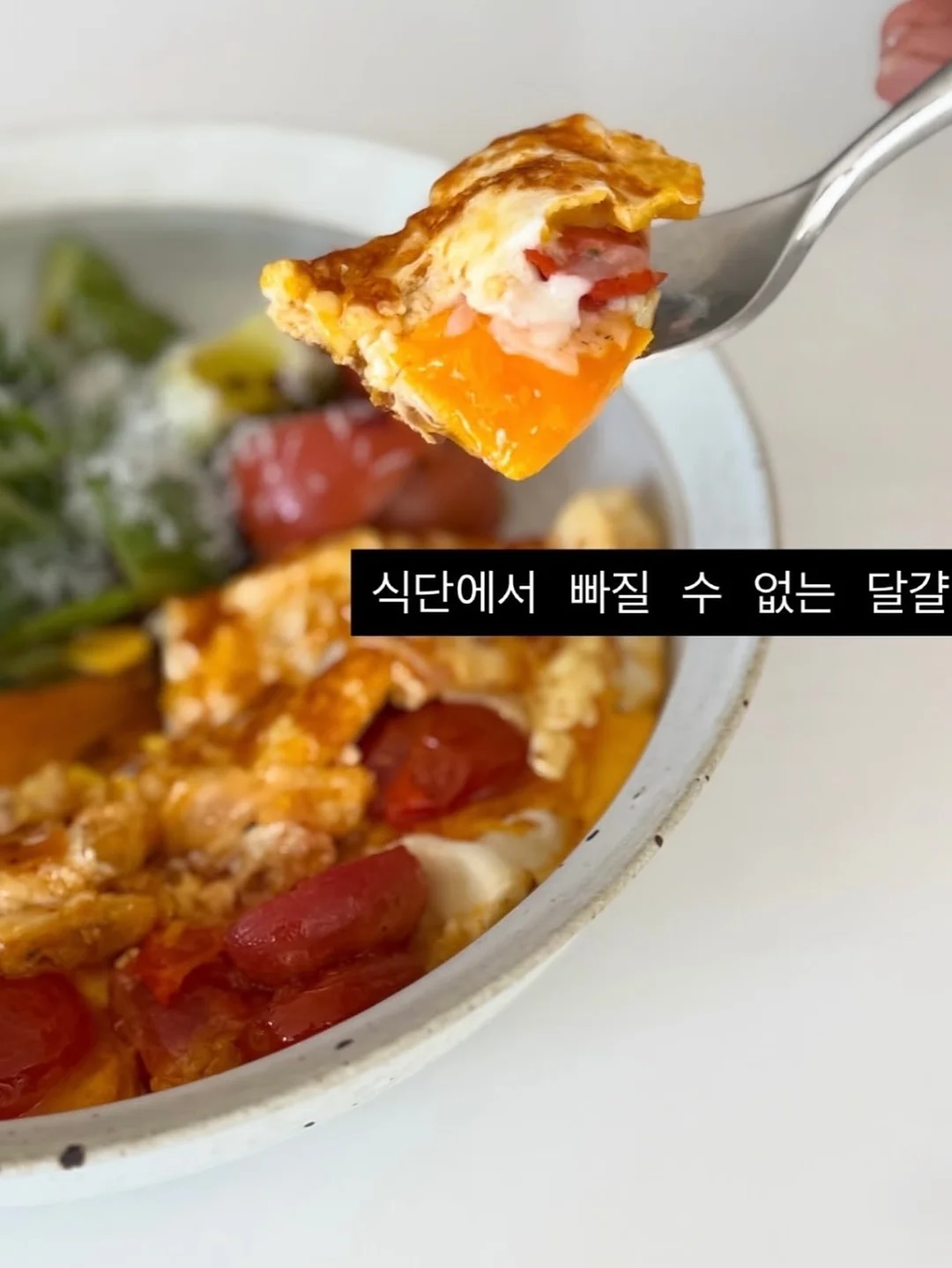 대왕 돌돌이 16