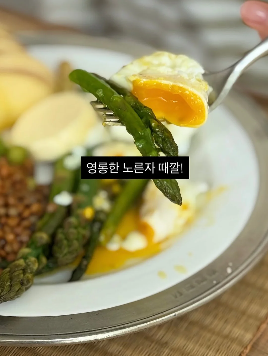 대왕 돌돌이 18