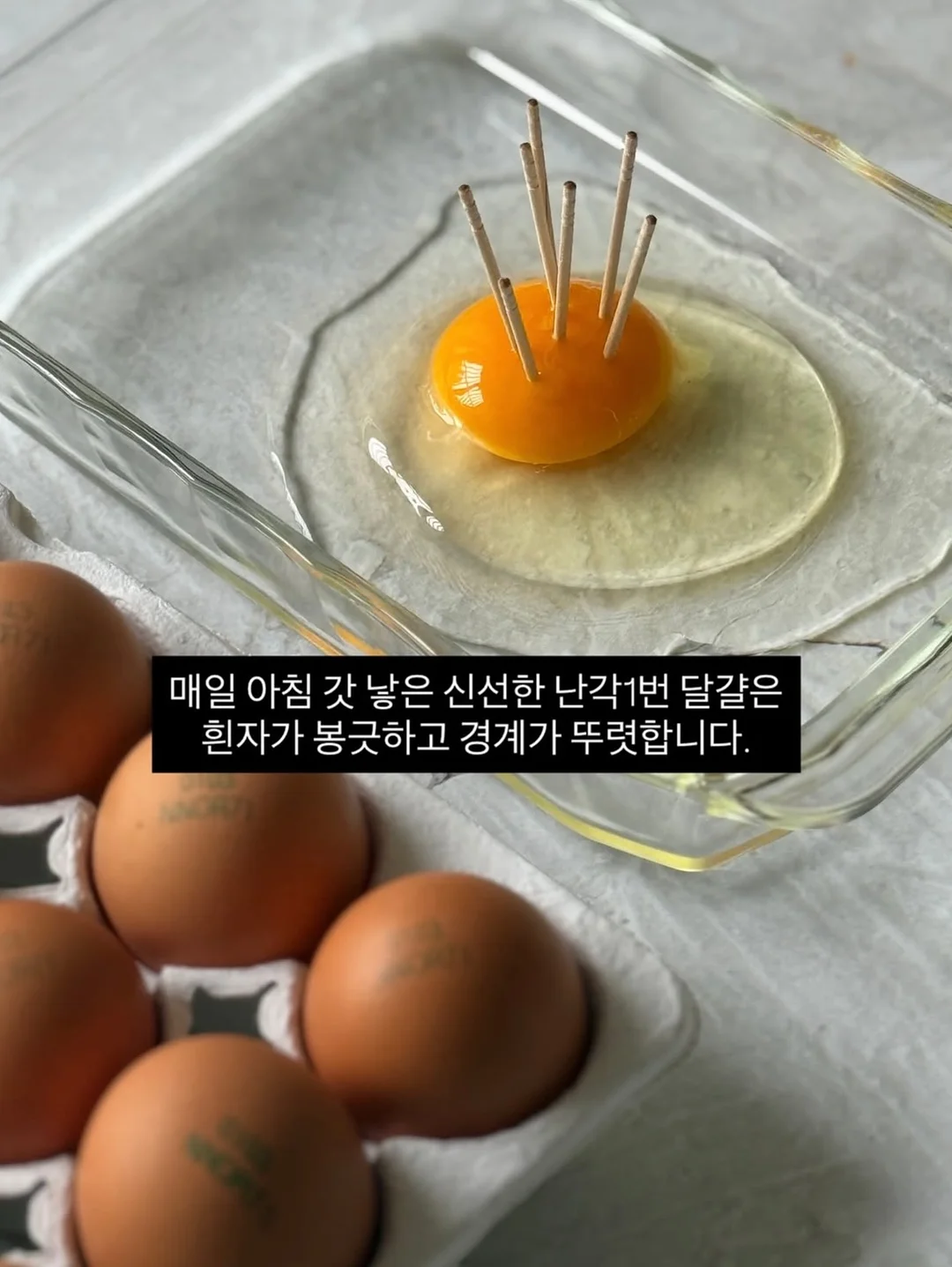 대왕 돌돌이 19