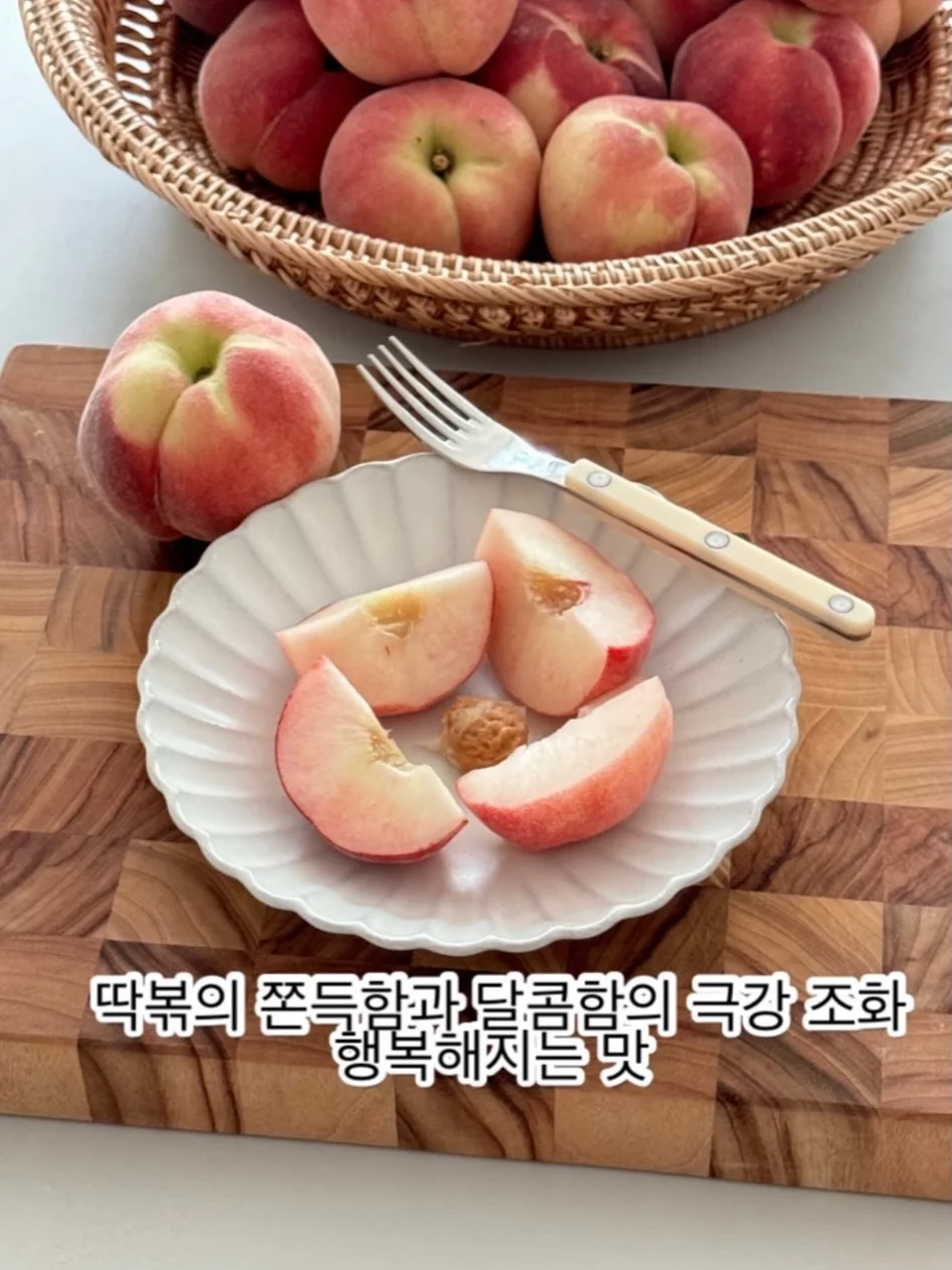 안전 울타리 2