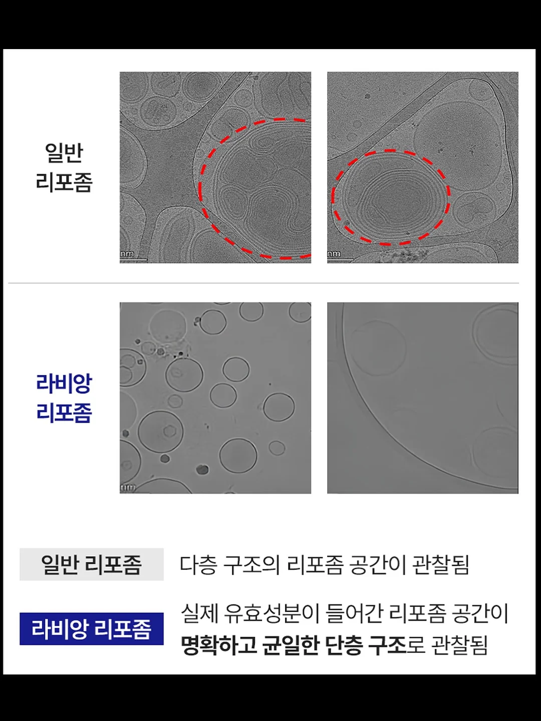 세이지탑set 13