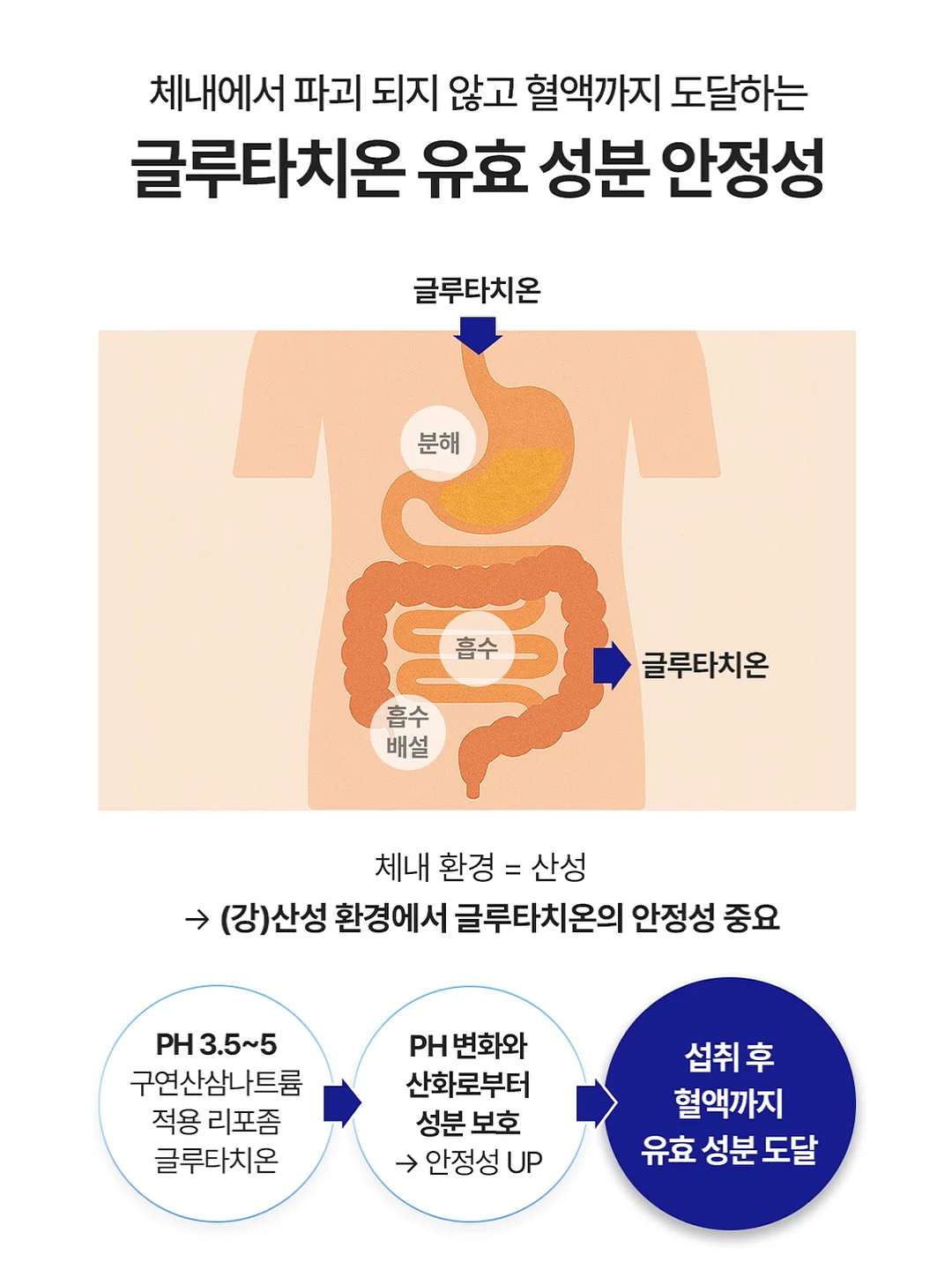 세이지탑set 19