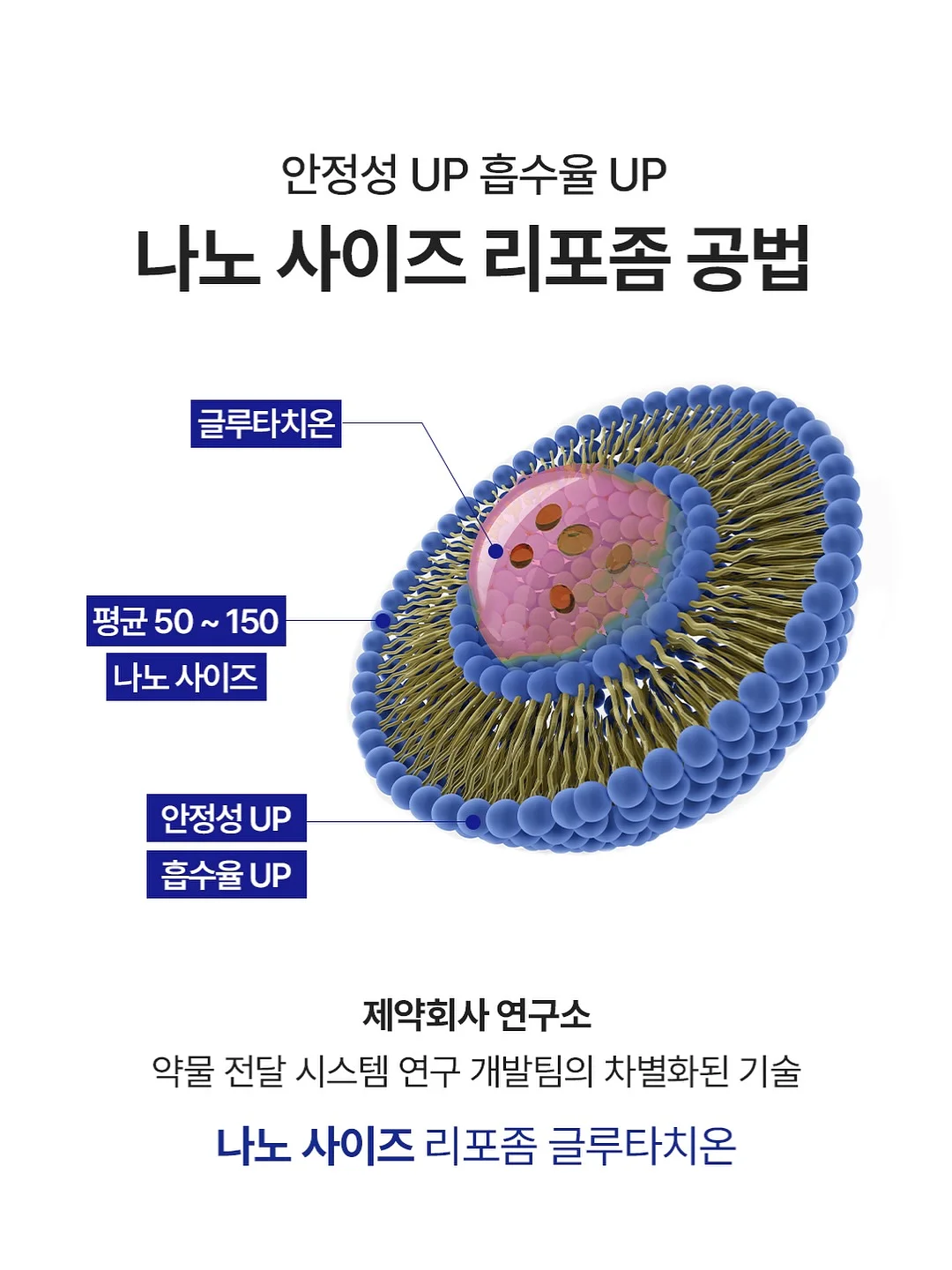 세이지탑set 7