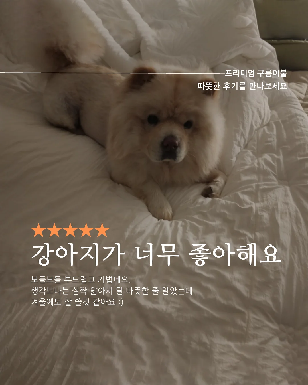 GS25 포켓 오징어김치전 5