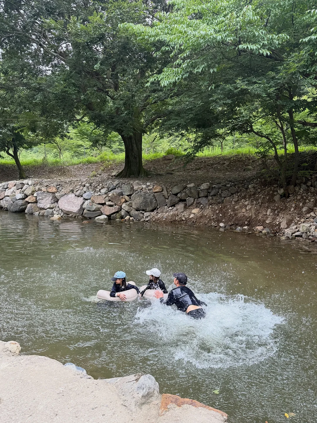 베이비브로우샵 시그니처 3종 14
