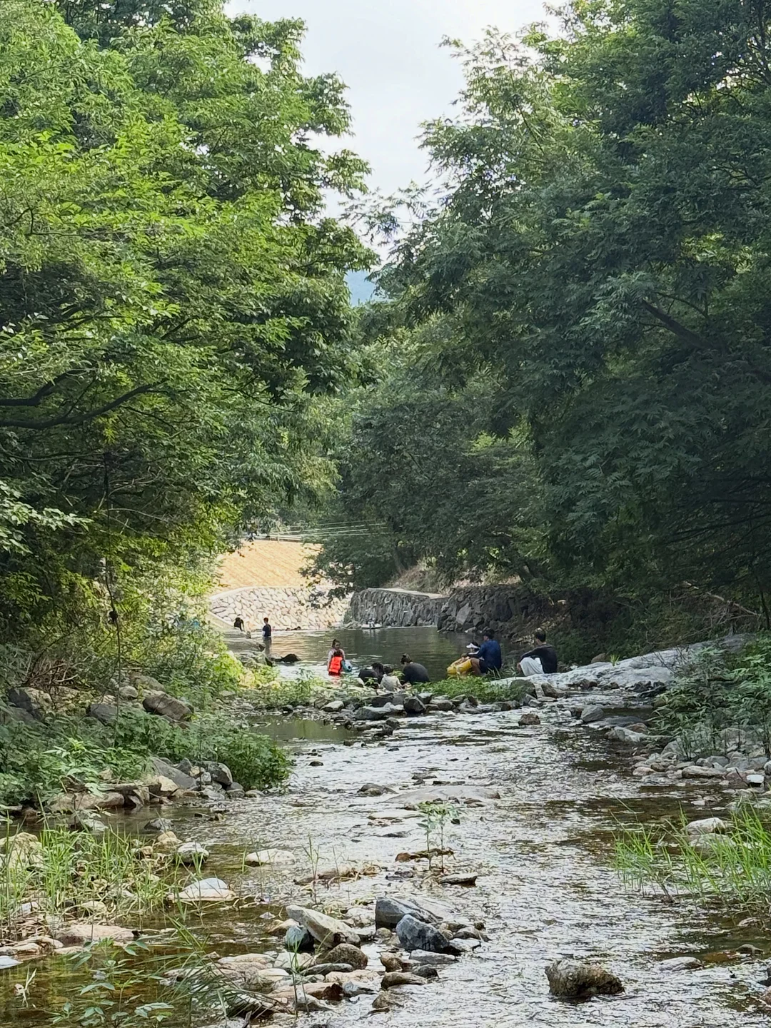 베이비브로우샵 시그니처 3종 15