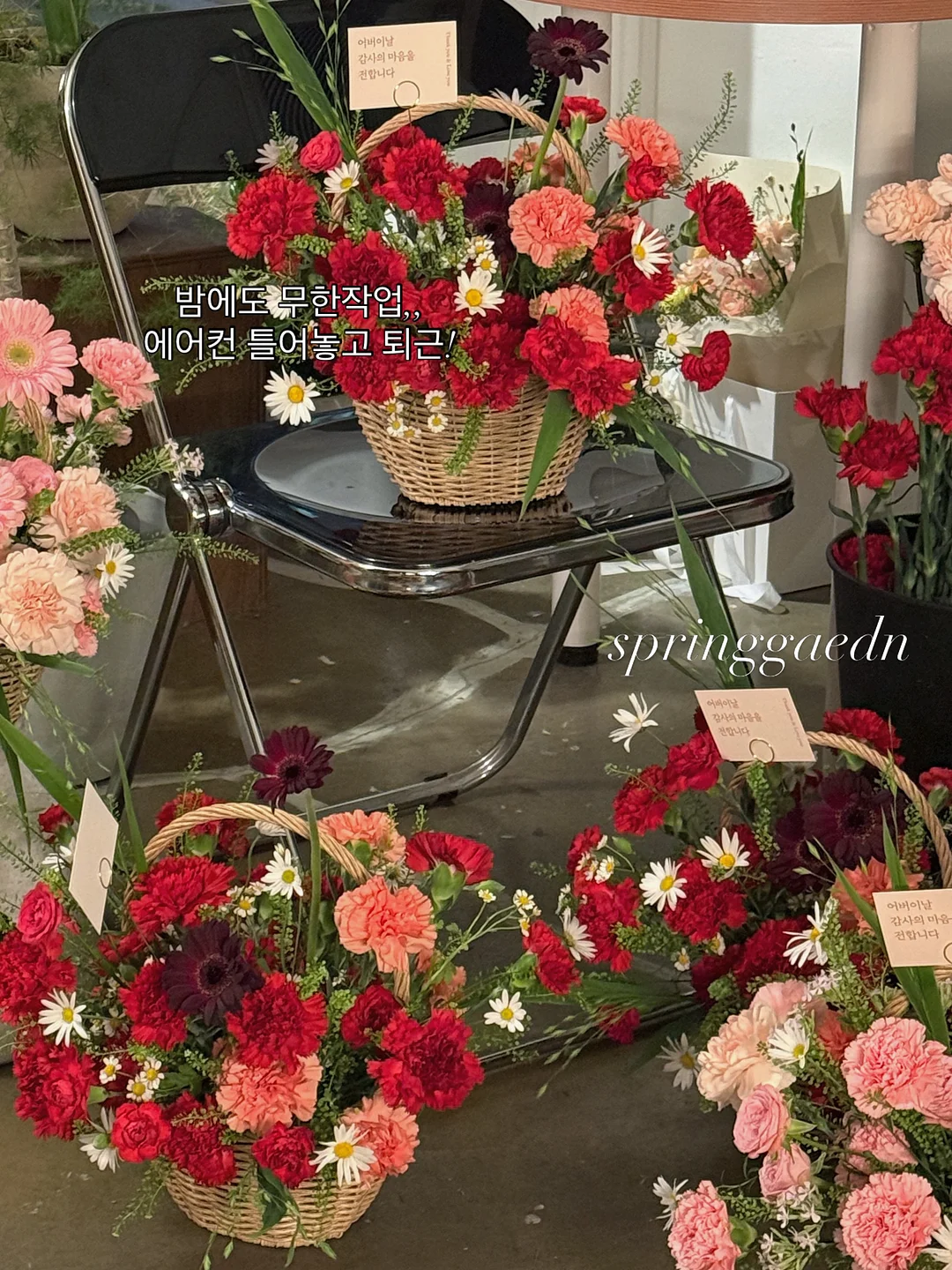 베베바이브 썸머 셋업 11