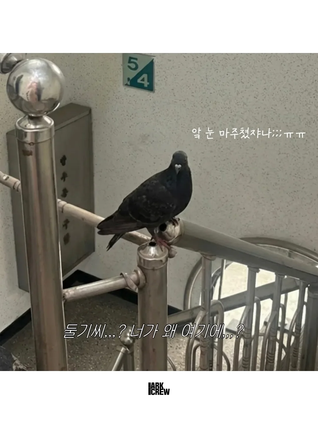 셰퍼 에어큐 날개없는 선풍기 3