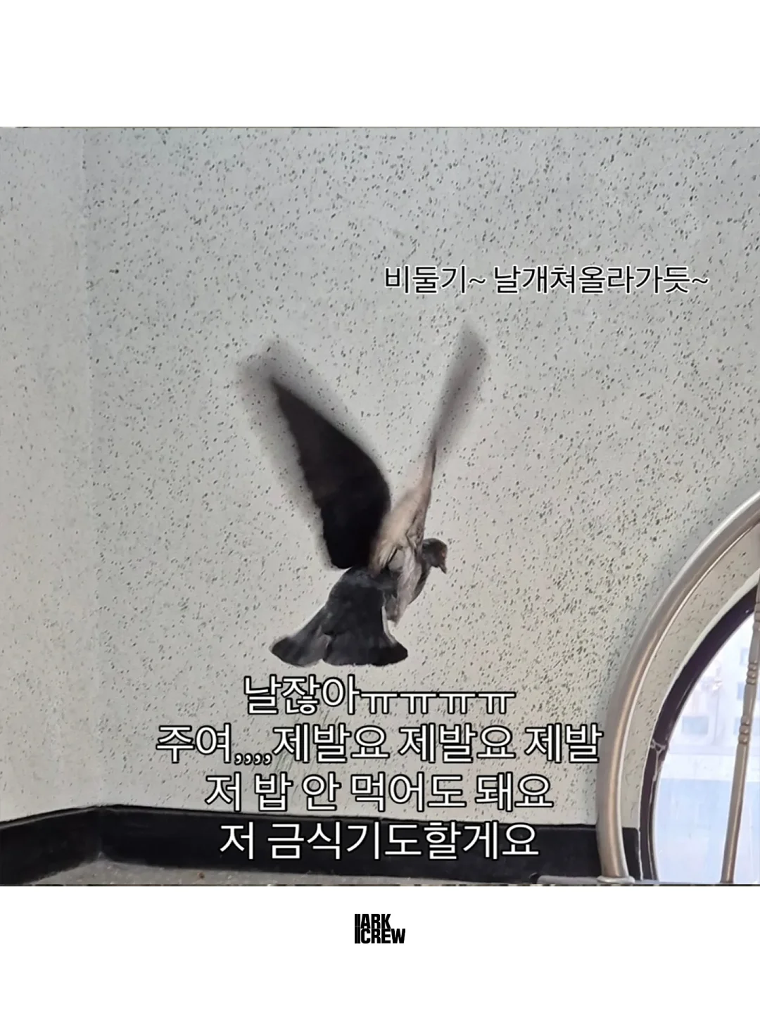 셰퍼 에어큐 날개없는 선풍기 4