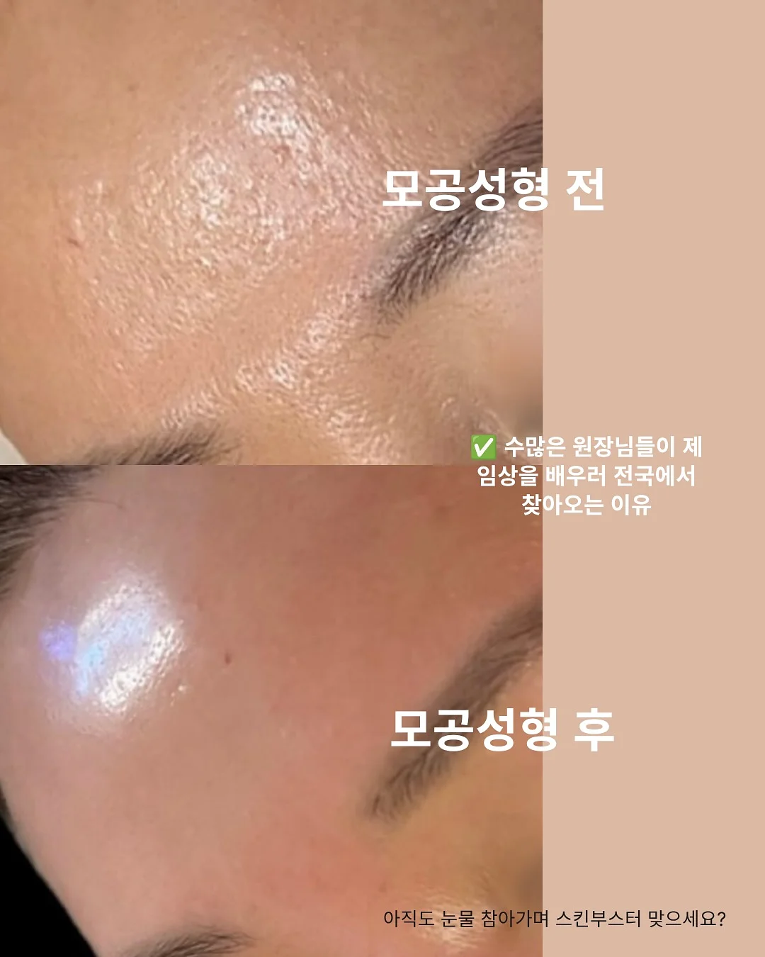반려견 물티슈 4