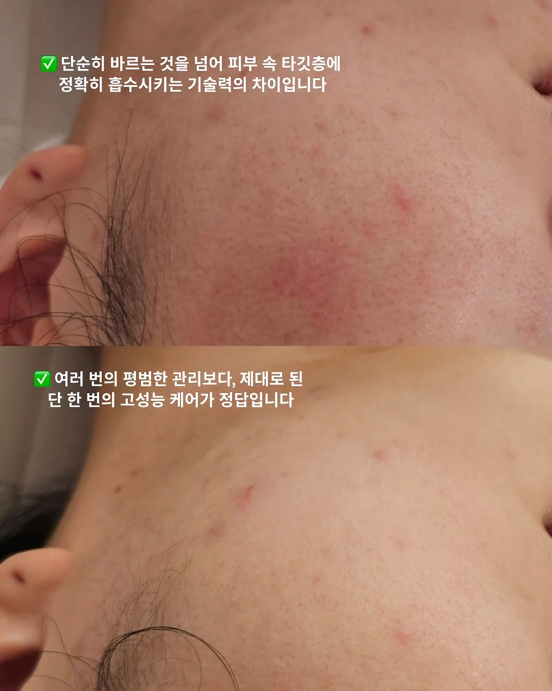 반려견 물티슈 8