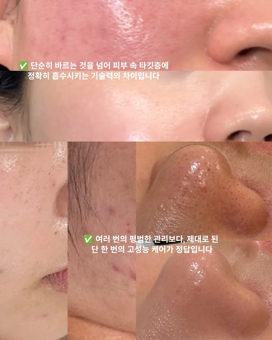 반려견 물티슈 9