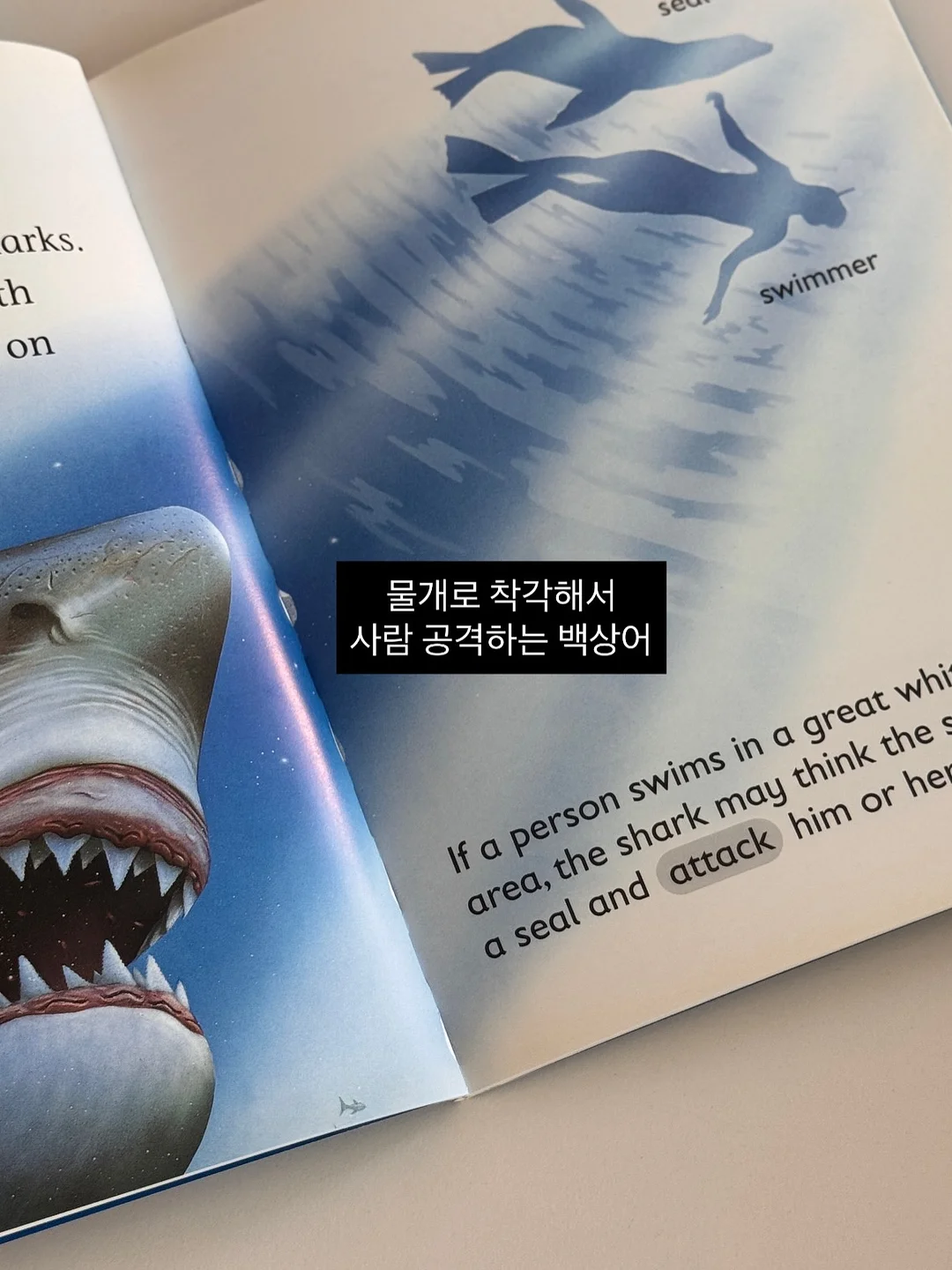 스와로브 시리즈 스커트 12