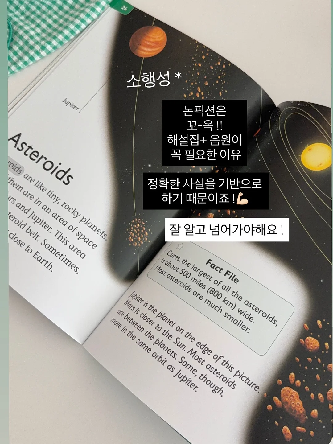 스와로브 시리즈 스커트 19