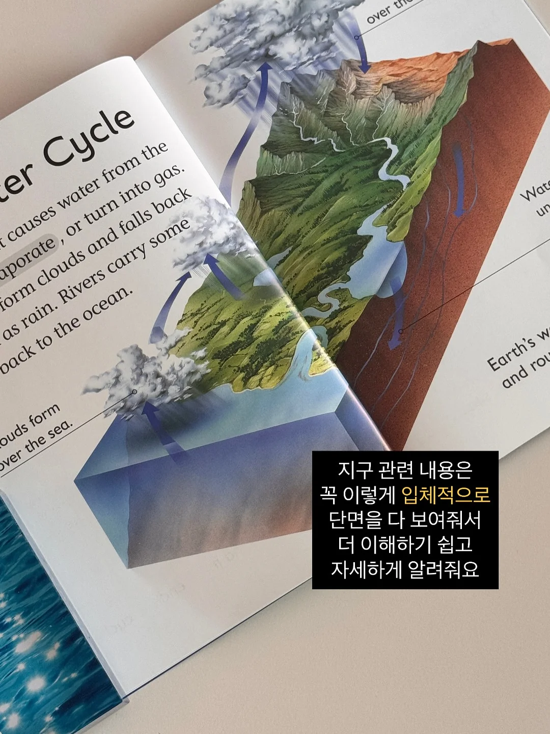 스와로브 시리즈 스커트 8